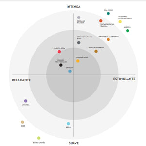 Difusor de Aromas Premium 500ml - Acqua Aroma