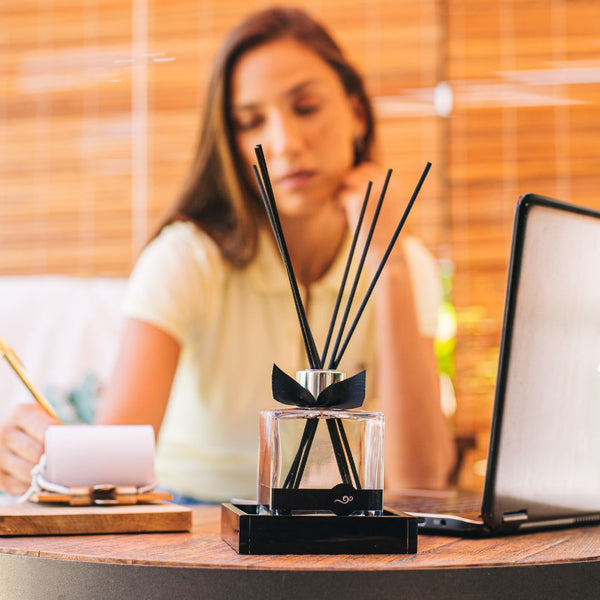 Difusor de Varetas Dia a Dia 100ml - Acqua Aroma